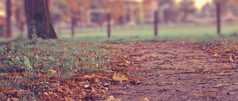 电话轰炸免费在线网站